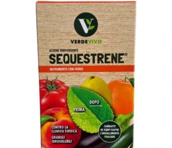 Concime per Foglie Ingiallite – Rimedio contro la Carenza di Ferro