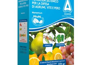 Fungicida sistemico vigna Momentum