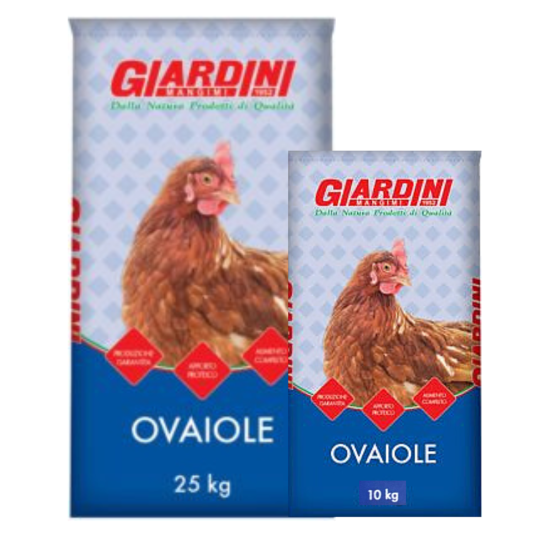 Mangime per Galline Ovaiole in farina