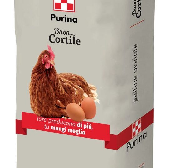 Mangime galline Miss Ovo Farina Purina