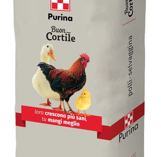 Mangime pulcini Baby Pio 20 Kg