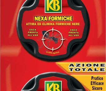 Trappola per formiche