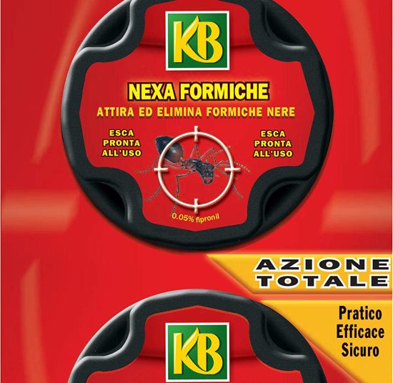 Trappola per formiche