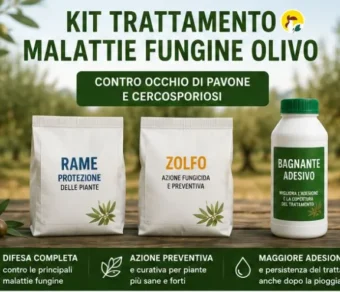 Trattamento malattie fungine olivo - Occhio di pavone