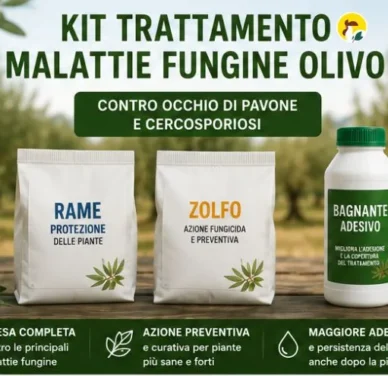 Trattamento malattie fungine olivo - Occhio di pavone