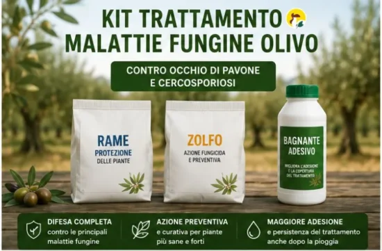 Trattamento Malattie Fungine Olivo