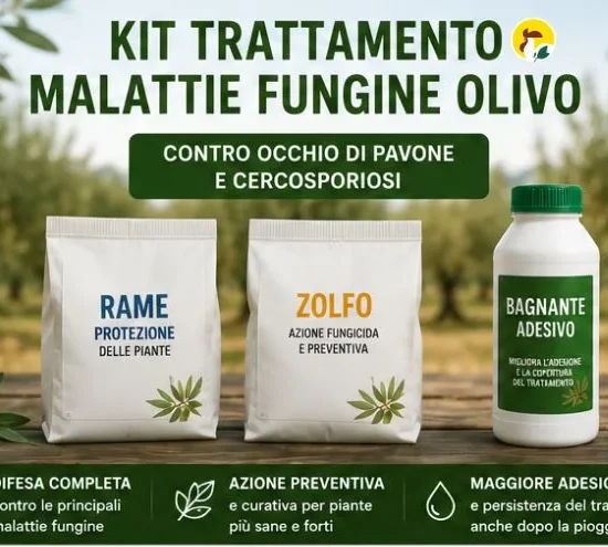 Trattamento malattie fungine olivo - Occhio di pavone