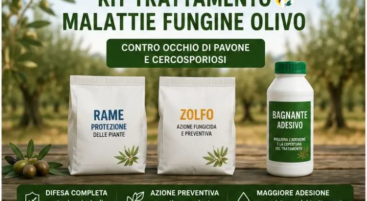 Trattamento Malattie Fungine Olivo