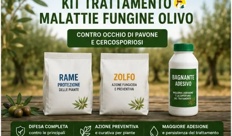Trattamento Malattie Fungine Olivo