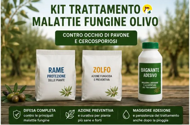 Trattamento Malattie Fungine Olivo