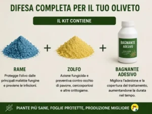 Trattamento Malattie Fungine Olivo cosa contiene
