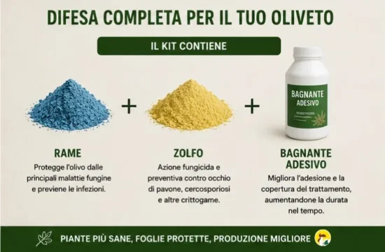 Trattamento Malattie Fungine Olivo cosa contiene
