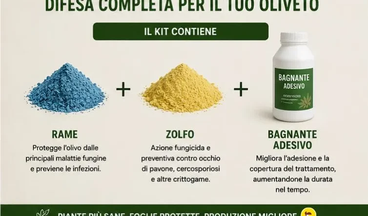 Trattamento Malattie Fungine Olivo cosa contiene