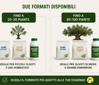 Trattamento malattie fungine olivo - Occhio di pavone