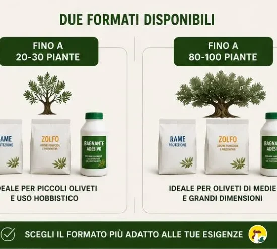 Trattamento malattie fungine olivo - Occhio di pavone