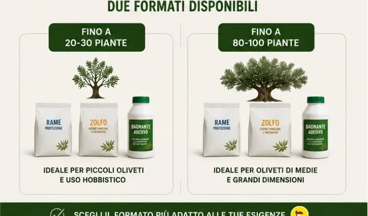 Trattamento Malattie Fungine Olivo contro occhio di pavone e cercosporiosi