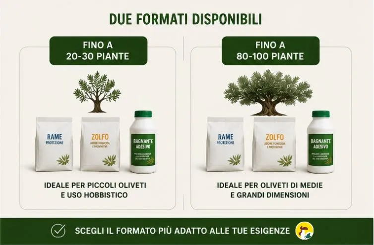 Trattamento Malattie Fungine Olivo contro occhio di pavone e cercosporiosi