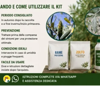 Trattamento malattie fungine olivo - Occhio di pavone