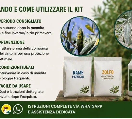 Trattamento malattie fungine olivo - Occhio di pavone