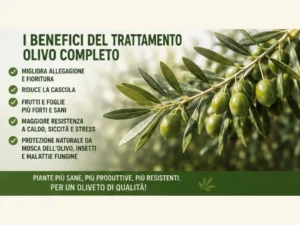 Benefici del trattamento olivo completo per allegagione, cascola, resistenza e difesa della pianta.