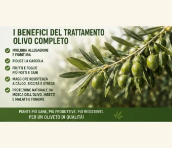 Trattamento Olivo Completo