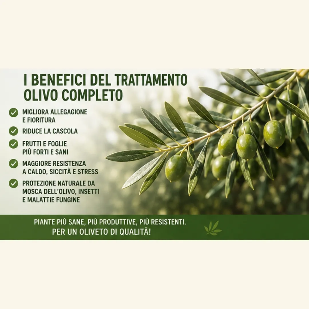 Benefici del trattamento olivo completo per allegagione, cascola, resistenza e difesa della pianta.