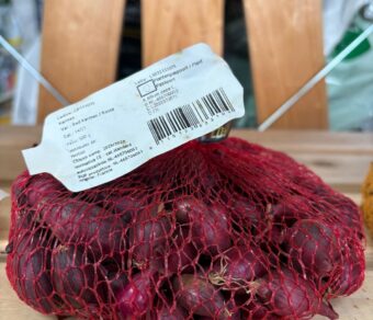 Bulbi di cipolle da seminare