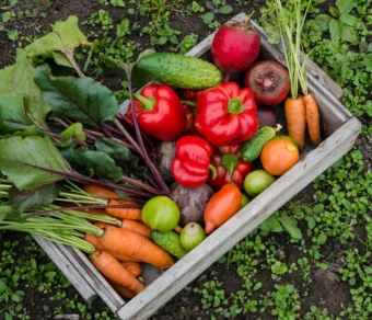 Concime BIO per Orto e Frutta - per ortaggi sani