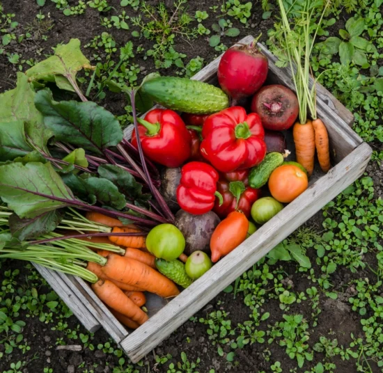 Concime BIO per Orto e Frutta - per ortaggi sani