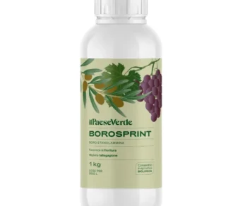 Concime fogliare Olive Borosprint - Aumenta la produzione di Olive