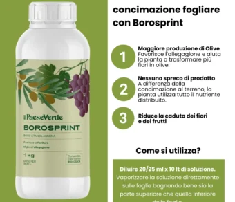 Concime fogliare Olive Borosprint - Aumenta la produzione di Olive