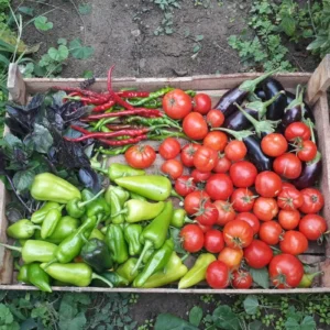 cosa seminare a marzo