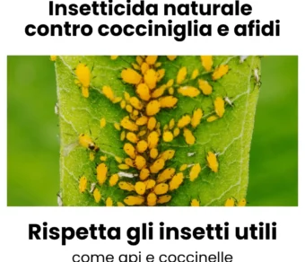 Estratto di ortica per piante- Fertilizzante e Insetticida Naturale