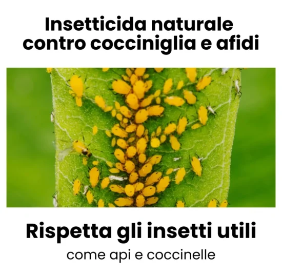 Estratto di ortica per piante- Fertilizzante e Insetticida Naturale