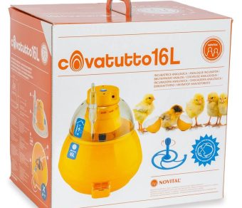 Incubatrice per pulcini Covatutto 16L