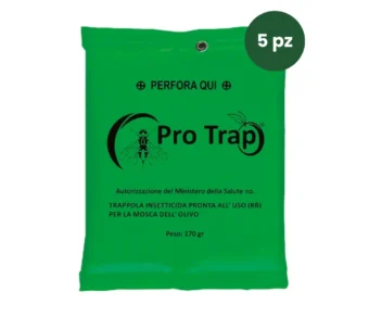 Trappola Mosca dell’Olivo Professionale da Appendere 5 pz