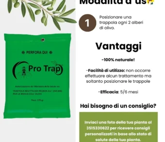 Trappola Mosca dell’Olivo Professionale da Appendere 5 pz