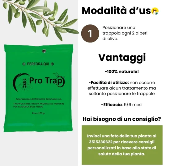 Trappola Mosca dell’Olivo Professionale da Appendere 5 pz