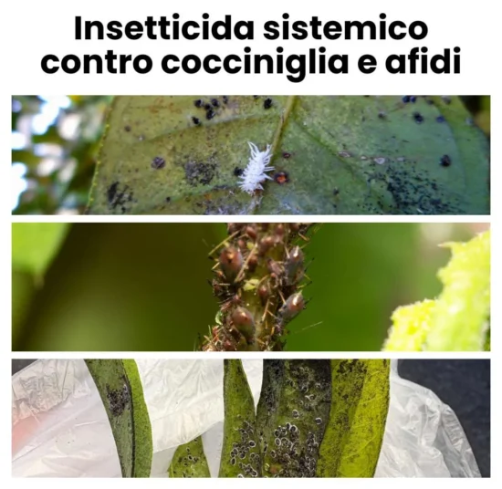 Insetticida sistemico per Cocciniglia e Acari Ciopper