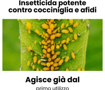 Insetticida sistemico per Cocciniglia e Acari Ciopper