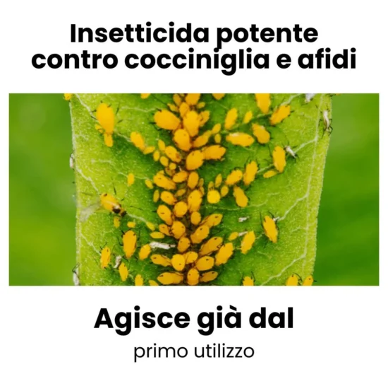 Insetticida sistemico per Cocciniglia e Acari Ciopper