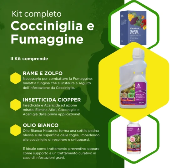 Kit Cocciniglia Limone + Fumaggine: Trattamento Completo