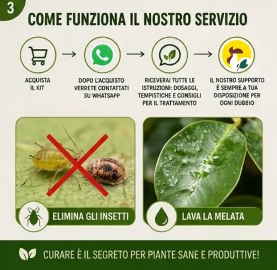 Kit cura afidi e cocciniglia