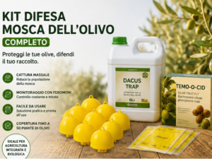 kit difesa mosca dell'olivo completo