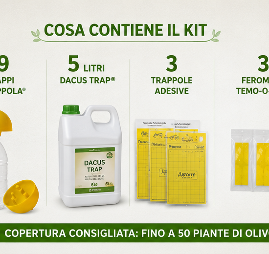 Kit difesa mosca dell'olivo per 50 piante