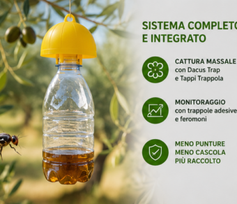 Kit difesa mosca dell'olivo per 50 piante