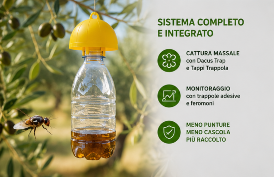 kit completo difesa mosca dell'olivo
