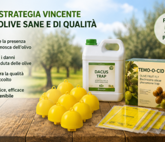 Kit difesa mosca dell'olivo per 50 piante