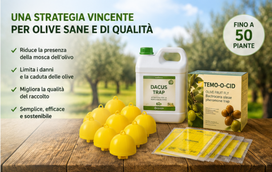 kit difesa mosca dell'olivo