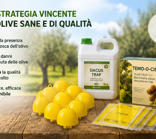 Kit difesa mosca dell'olivo per 50 piante